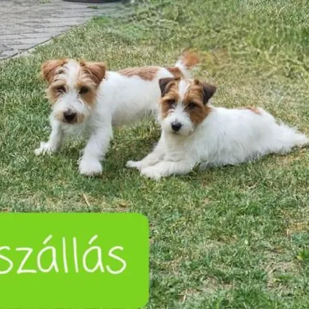 Angyalvölgy vendégház Kapolcs